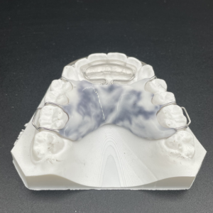 Maxillary Modified Spring Retainer Plus with Adams