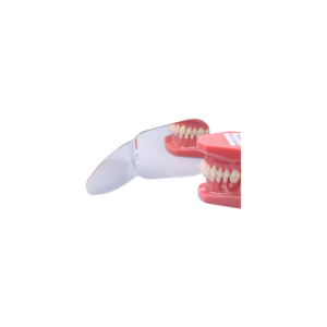 Occlusal + Buccal Mirror - Image 3