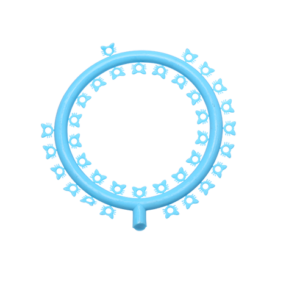 Cartoon O Rings